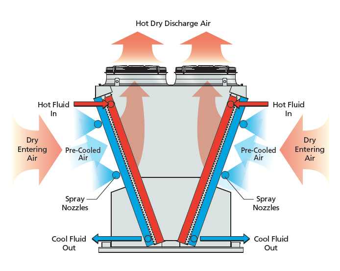 principle1
